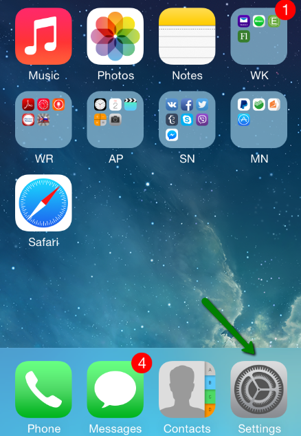 iPhone home screen with the Settings app